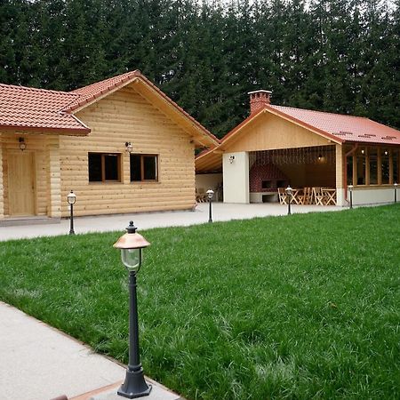 Pensiunea Floarea De Colt Nucsoara  Экстерьер фото