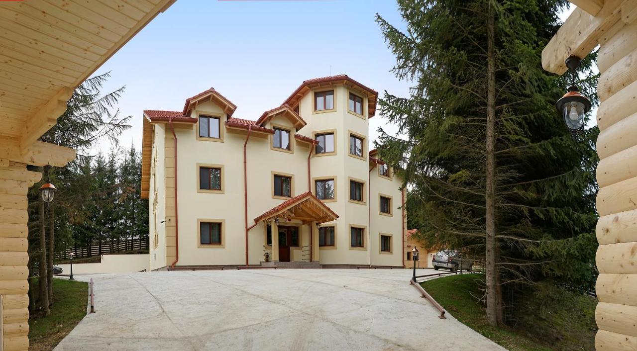 Pensiunea Floarea De Colt Nucsoara  Экстерьер фото